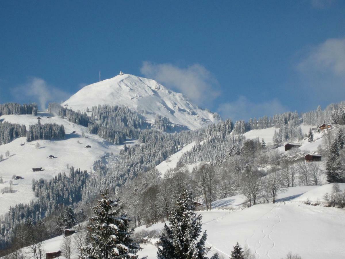 Appartements Bachler Brixen im Thale Esterno foto